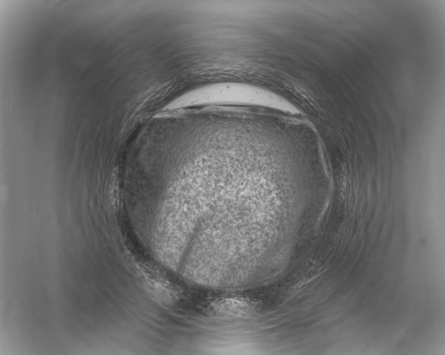 X0000061150594200512022316