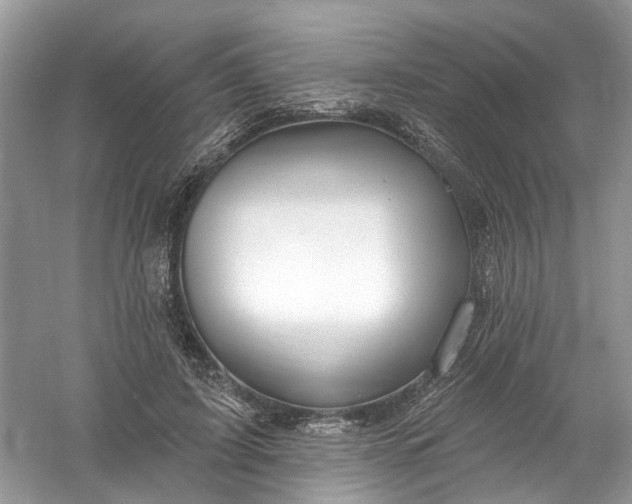 X0000061150595200512022316