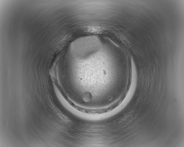 X0000061150597200512022316