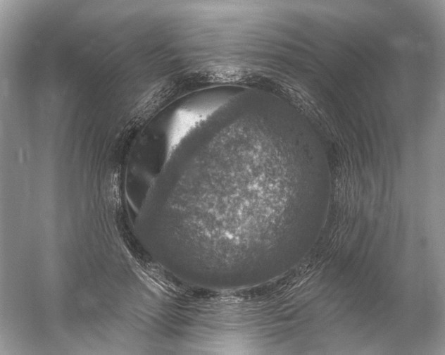 X0000061150598200512022316