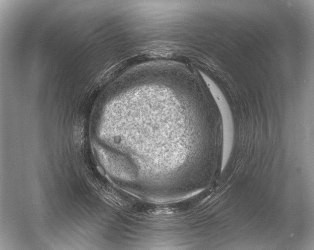 X0000061150600200512022316