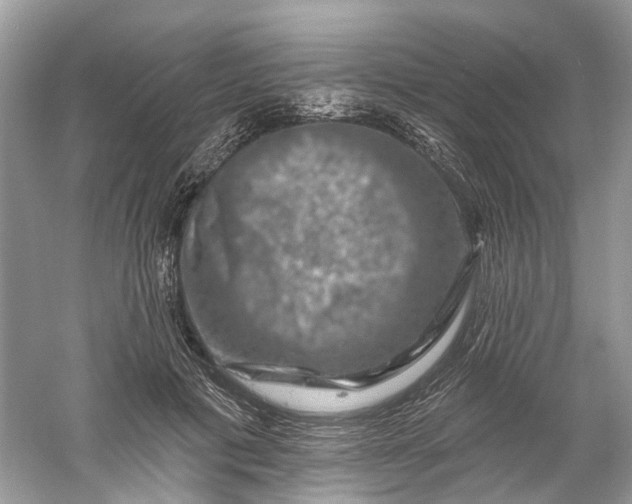 X0000061150601200512022316