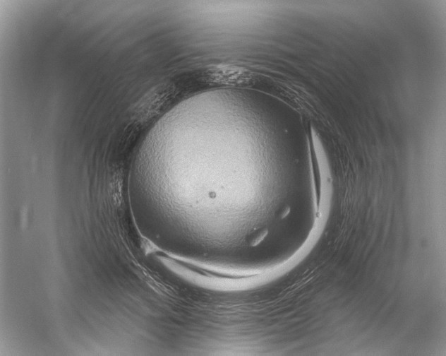 X0000061150602200512022316