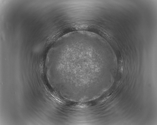 X0000061150604200512022316