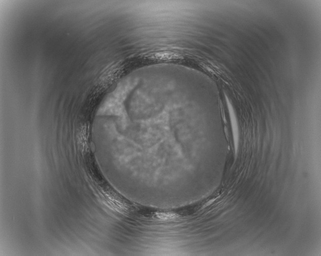 X0000061150605200512022316