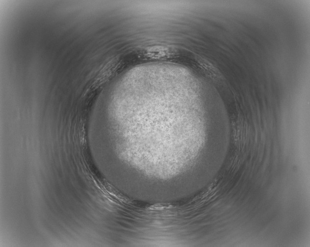 X0000061150606200512022316