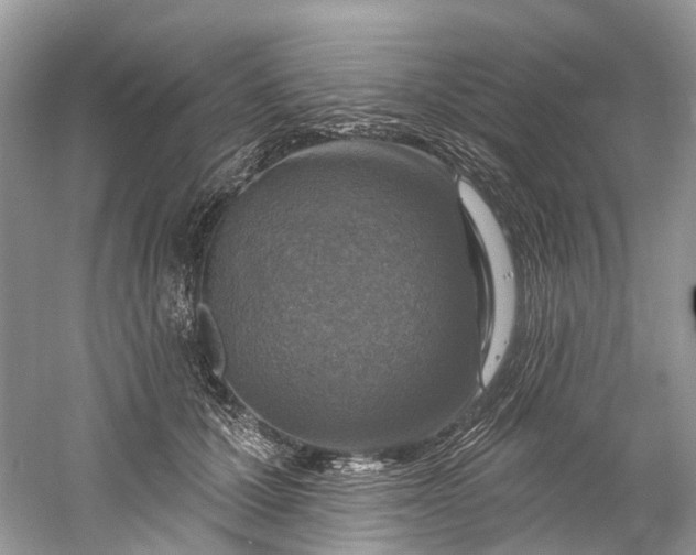 X0000061150607200512022316