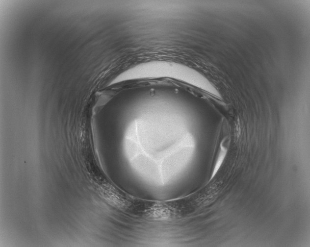 X0000061150608200512022316