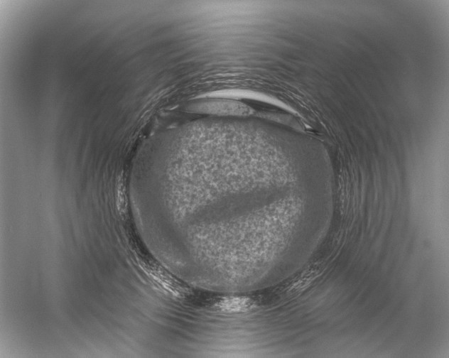 X0000061150609200512022316