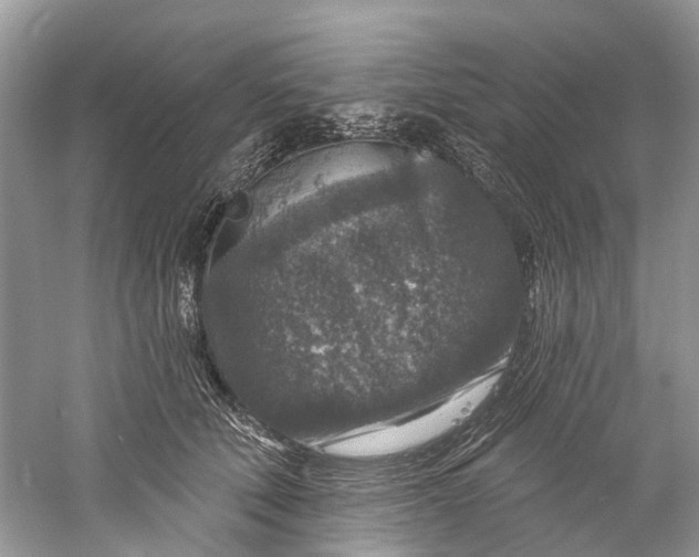 X0000061150610200512022316