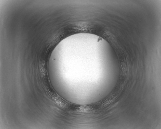 X0000061150612200512022316