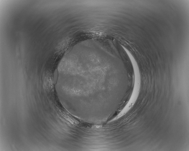 X0000061150613200512022316