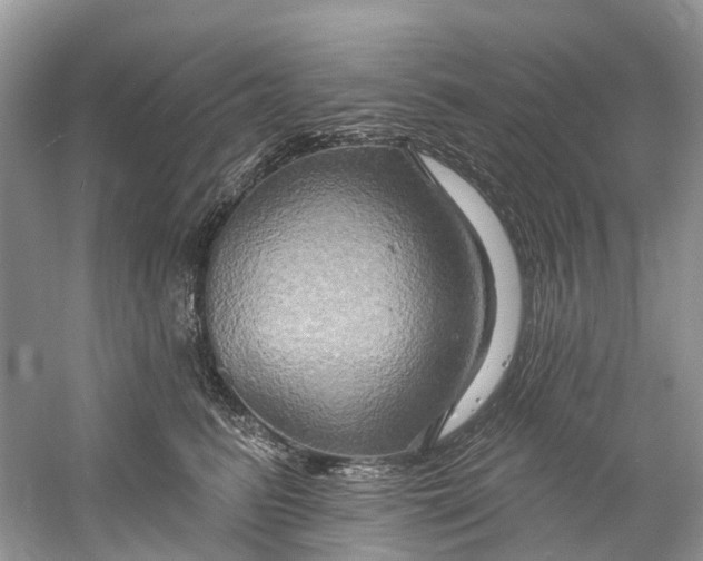 X0000061150615200512022316