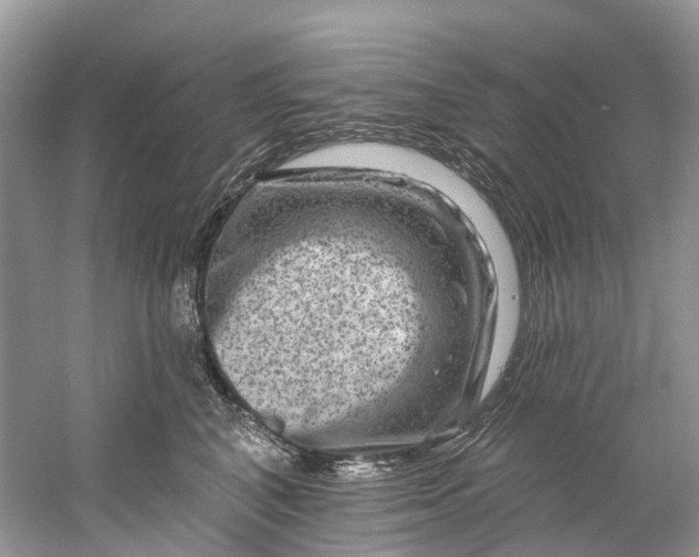 X0000061150616200512022316