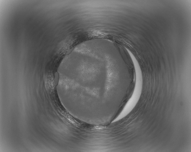 X0000061150617200512022316