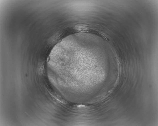 X0000061150618200512022316