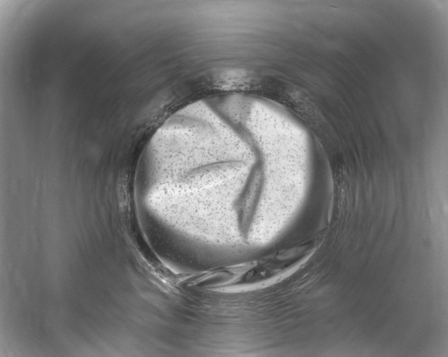 X0000061150620200512022316