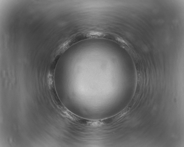 X0000061150621200512022316