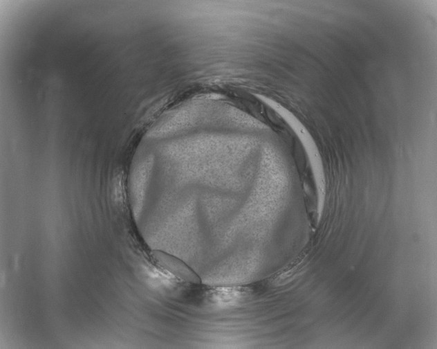 X0000061150623200512022316