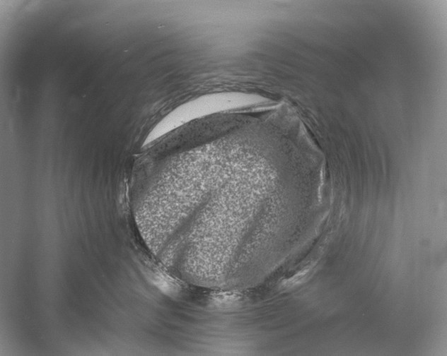 X0000061150624200512022316