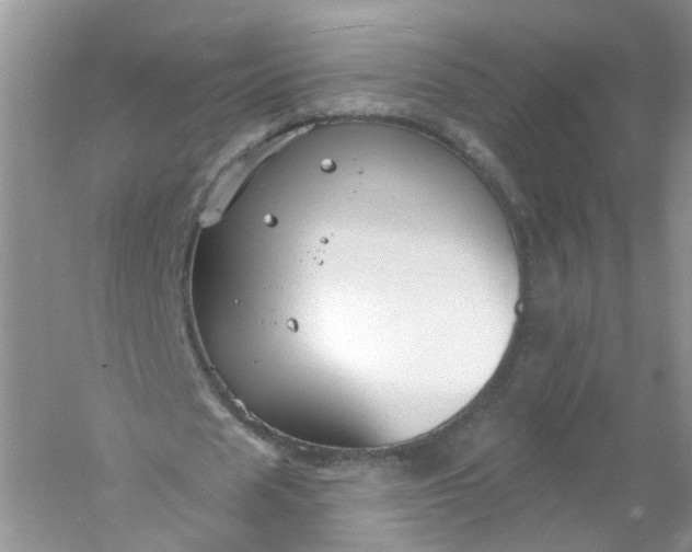 X0000061150625200512022315