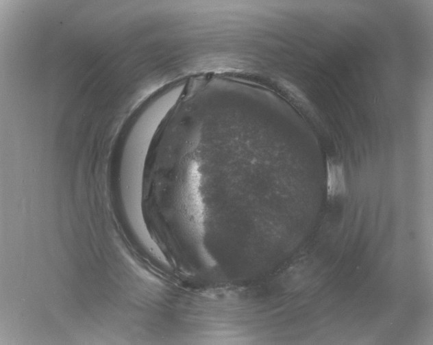 X0000061150627200512022315