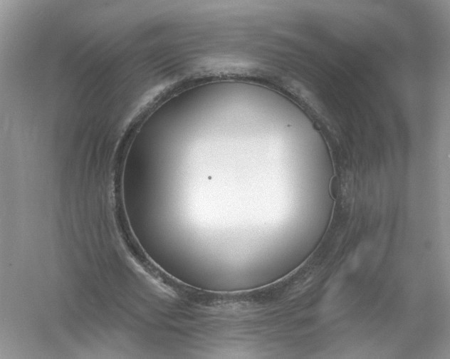 X0000061150629200512022315