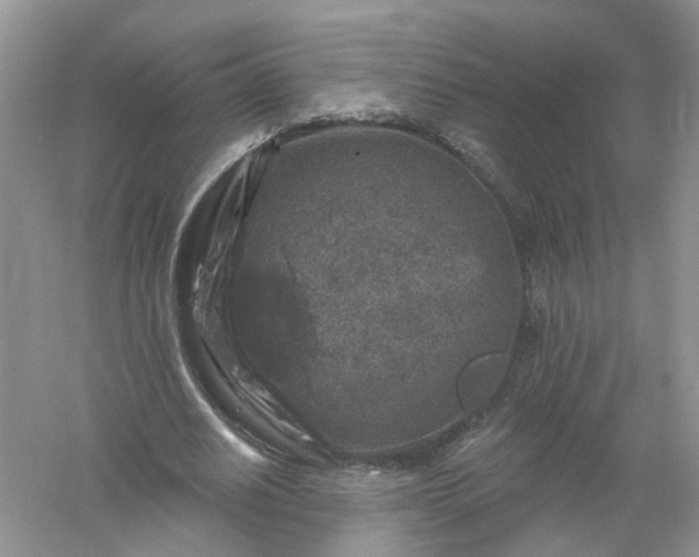 X0000061150630200512022315