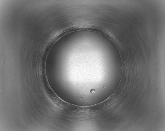 X0000061150631200512022315