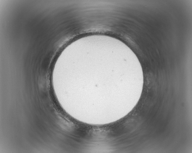 X0000061150632200512022315