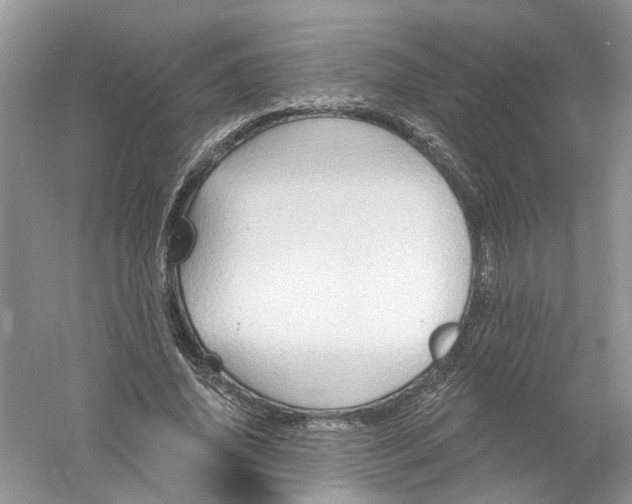 X0000061150636200512022315