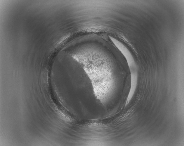 X0000061150637200512022315