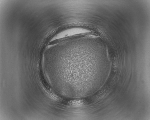 X0000061150639200512022315