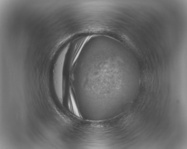 X0000061150640200512022315