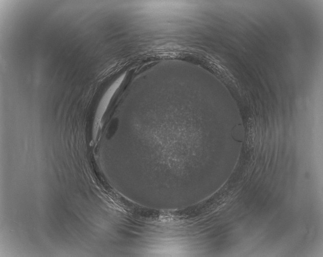 X0000061150641200512022315