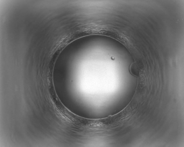 X0000061150642200512022315