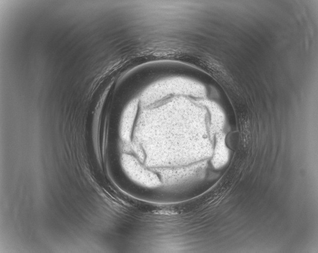 X0000061150644200512022315