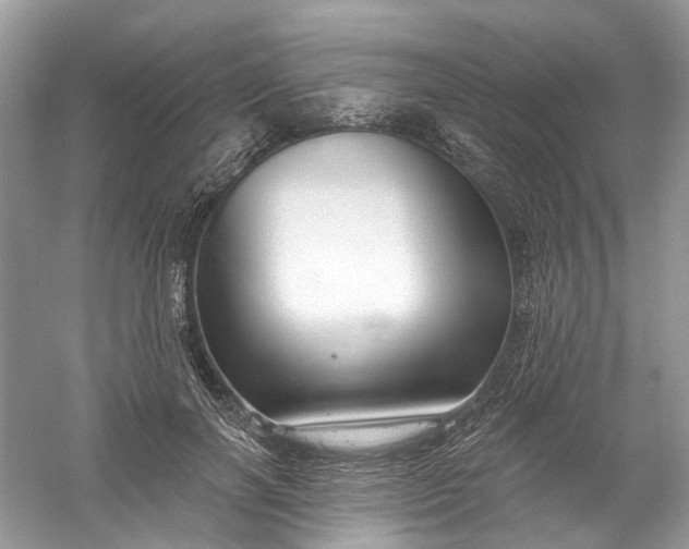 X0000061150646200512022315