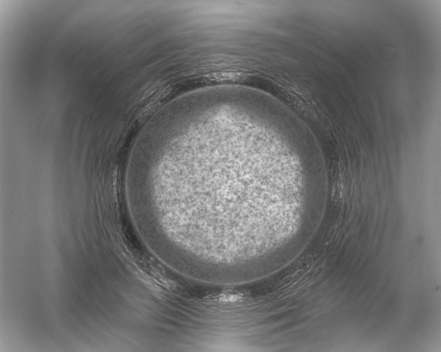 X0000061150647200512022315