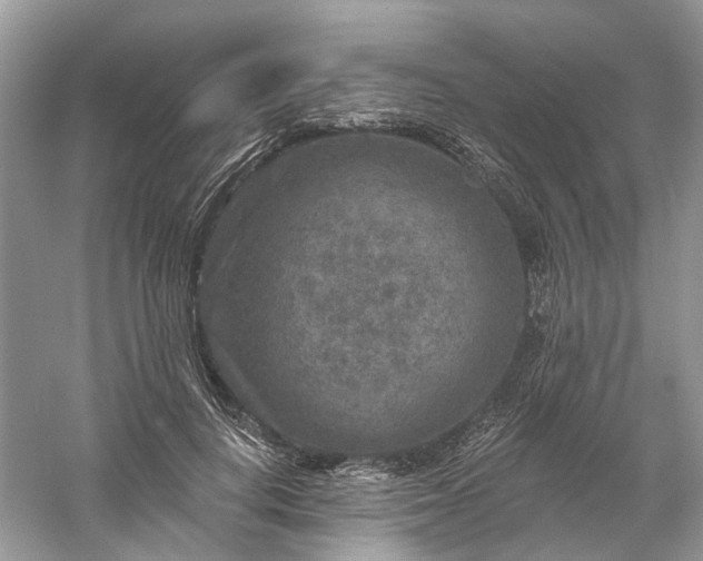 X0000061150648200512022315