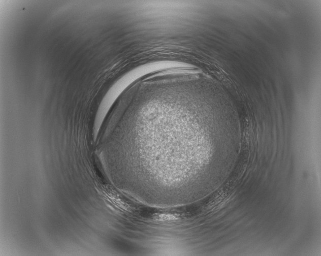 X0000061150649200512022315