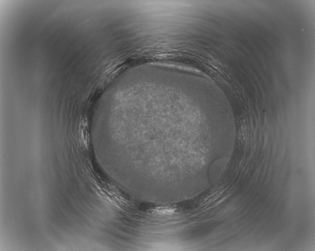 X0000061150651200512022315