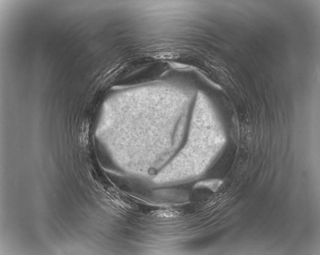 X0000061150652200512022315