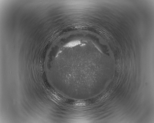 X0000061150653200512022315