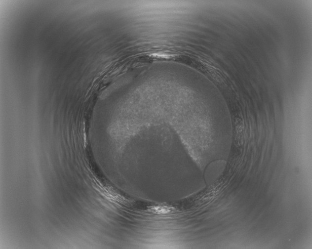 X0000061150654200512022315