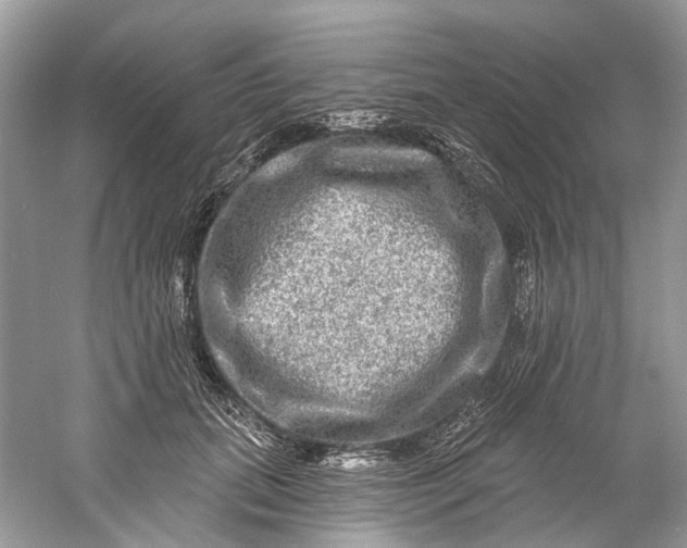 X0000061150655200512022315