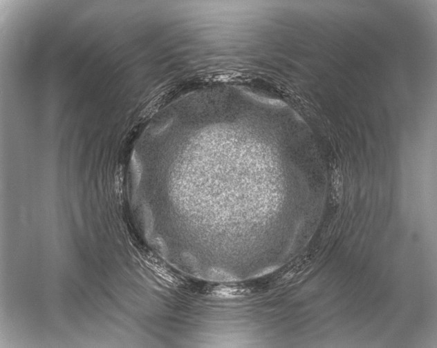 X0000061150657200512022316