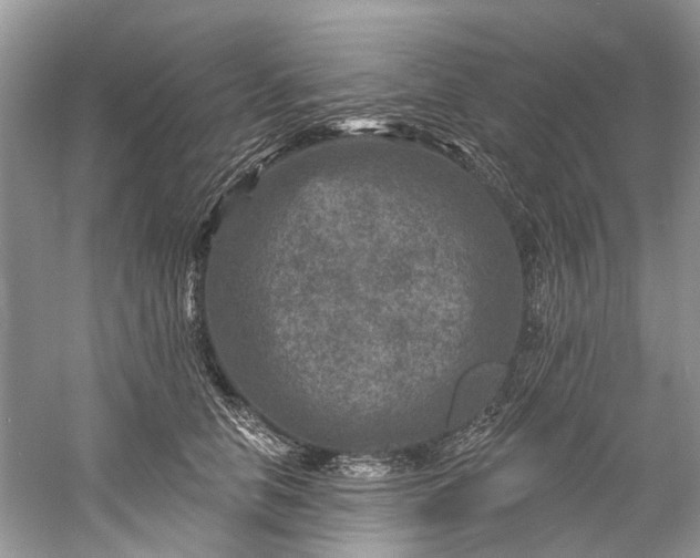 X0000061150658200512022316