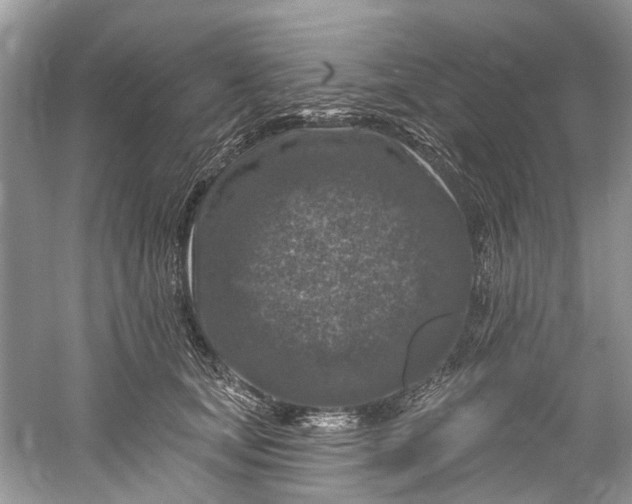 X0000061150659200512022316