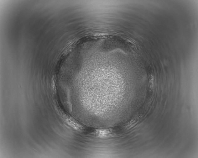 X0000061150662200512022316